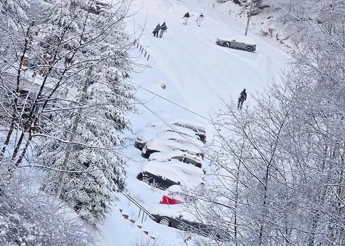 Anikaapartmani, Apartmán