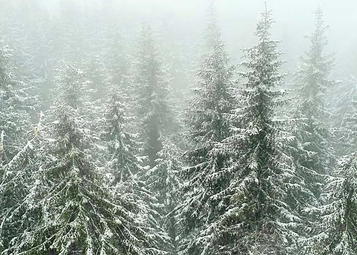 Apartmán Anikaapartmani,